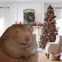 reginald123