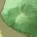 meadlegg