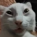 omix98