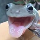 zzeenon