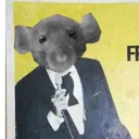 libracir