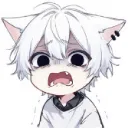 _shironeko