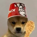 zeddis.xyz