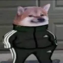 1mf