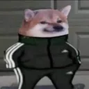 1mf