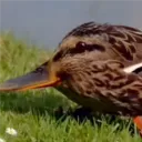 deltakip