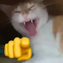 larala