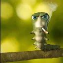 vivetz