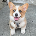 jefff8938#4948's avatar