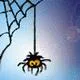 evilspider.