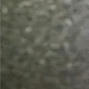 hazardus0084