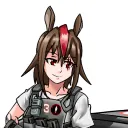 tailearnhardtvt