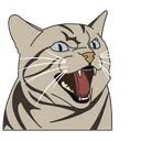 searchelias