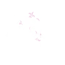 srnity