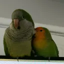 prettyburb