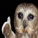 knight_owl83