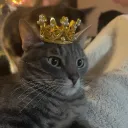 mrsamrno