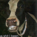 lilfoodstamp