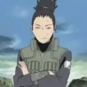 piggy_snorts