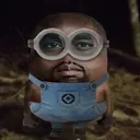 dsgcarlin