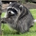 User icon
