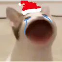 jeromeoe