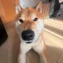 enqrypted