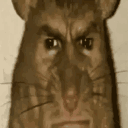nasuth