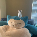 Discord Avatar