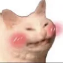 cloudofakitsune