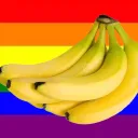.bunchobananas