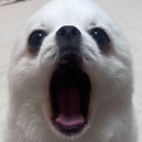 avatar suspicious dog