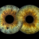 avatar FearlessLoyalty