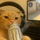 synkedd