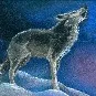 decmoon