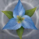 breereeto