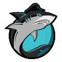 capitan_pilotes