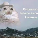 kiwimexqueenie