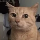 senkay