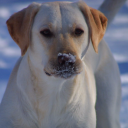 View loralynn's Profile