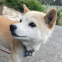 uninchu