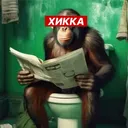 timon4eg
