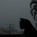 fxoye
