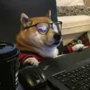 doggodoesdscrd avatar