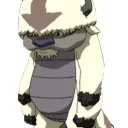 iolopax