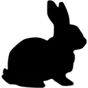 blackrabbitace