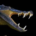 kaprosuchus.saharicus
