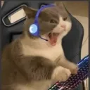 havi_er