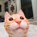 awfulkun