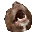 jaytron